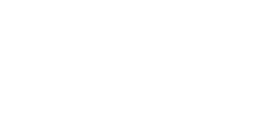 APEX Electronics